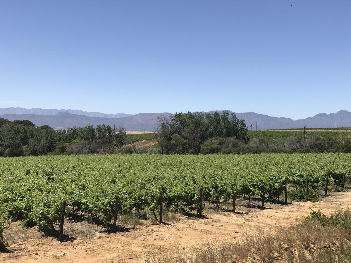 فندق روبي روز Riebeek-West المظهر الخارجي الصورة